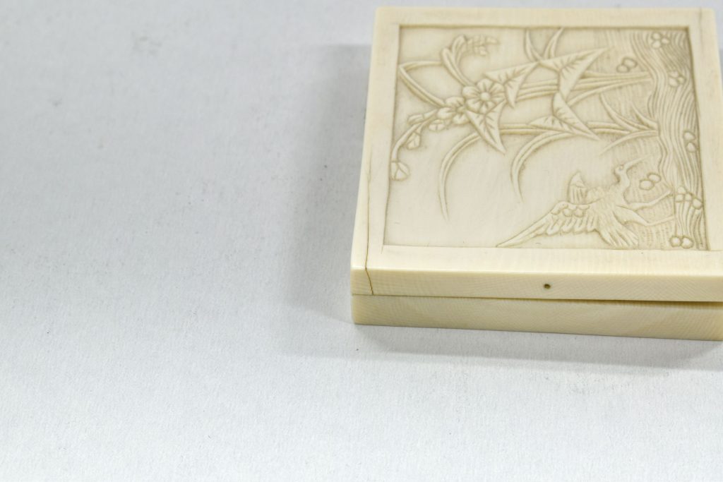 Pudriera din fildes mare