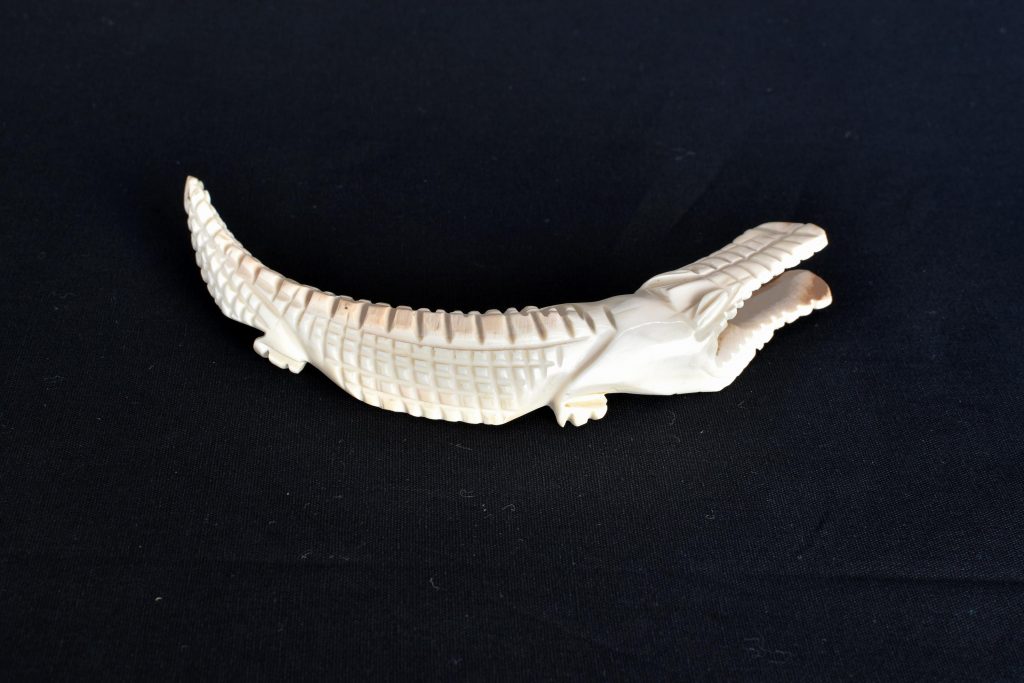 Crocodil din fildes Crocodil din fildes